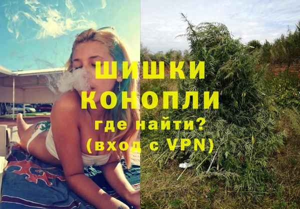 трава Горно-Алтайск