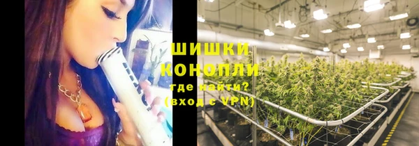 трава Горно-Алтайск