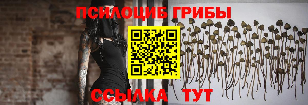 Псилоцибиновые грибы ЛСД  Вход с VPN  Москва  Псилоцибиновые грибы Magic Shrooms 